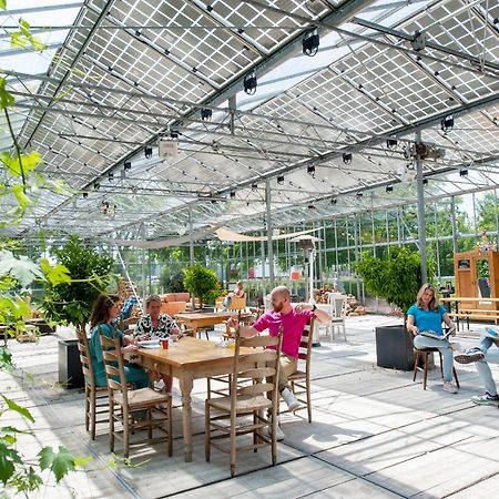 Achterhoeks Goed, Bed & Breakfast In Vragender ภายนอก รูปภาพ