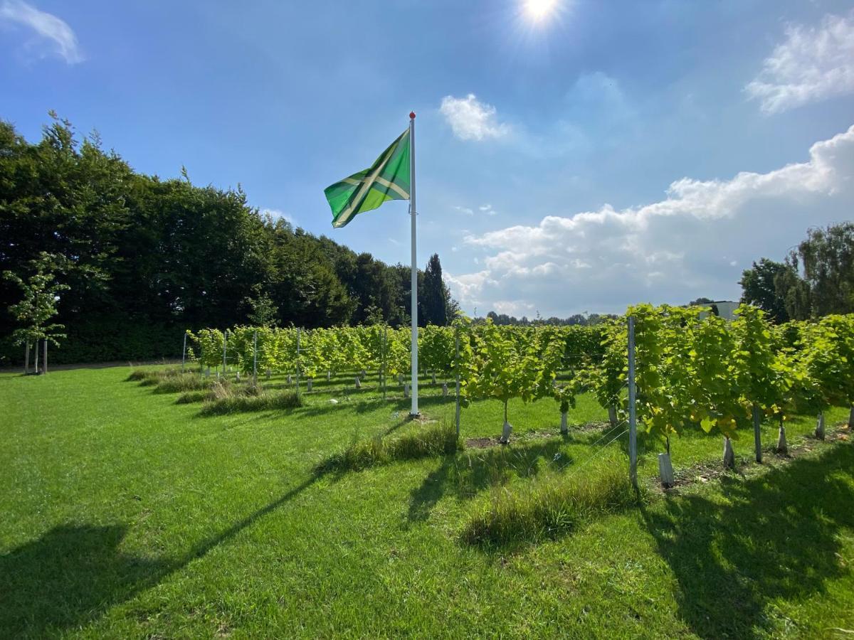 Achterhoeks Goed, Bed & Breakfast In Vragender ภายนอก รูปภาพ
