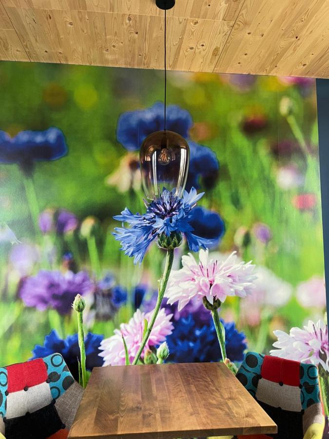Achterhoeks Goed, Bed & Breakfast In Vragender ภายนอก รูปภาพ