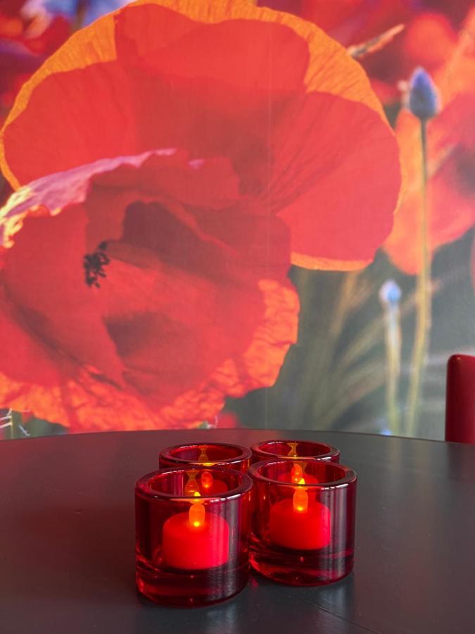 Achterhoeks Goed, Bed & Breakfast In Vragender ภายนอก รูปภาพ